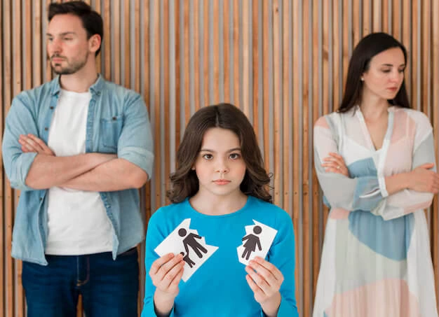 Creating Sustainable Agreements Through Guided Divorce Negotiations Nelson