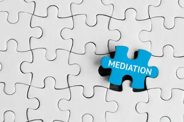image of the mediation process Nelson